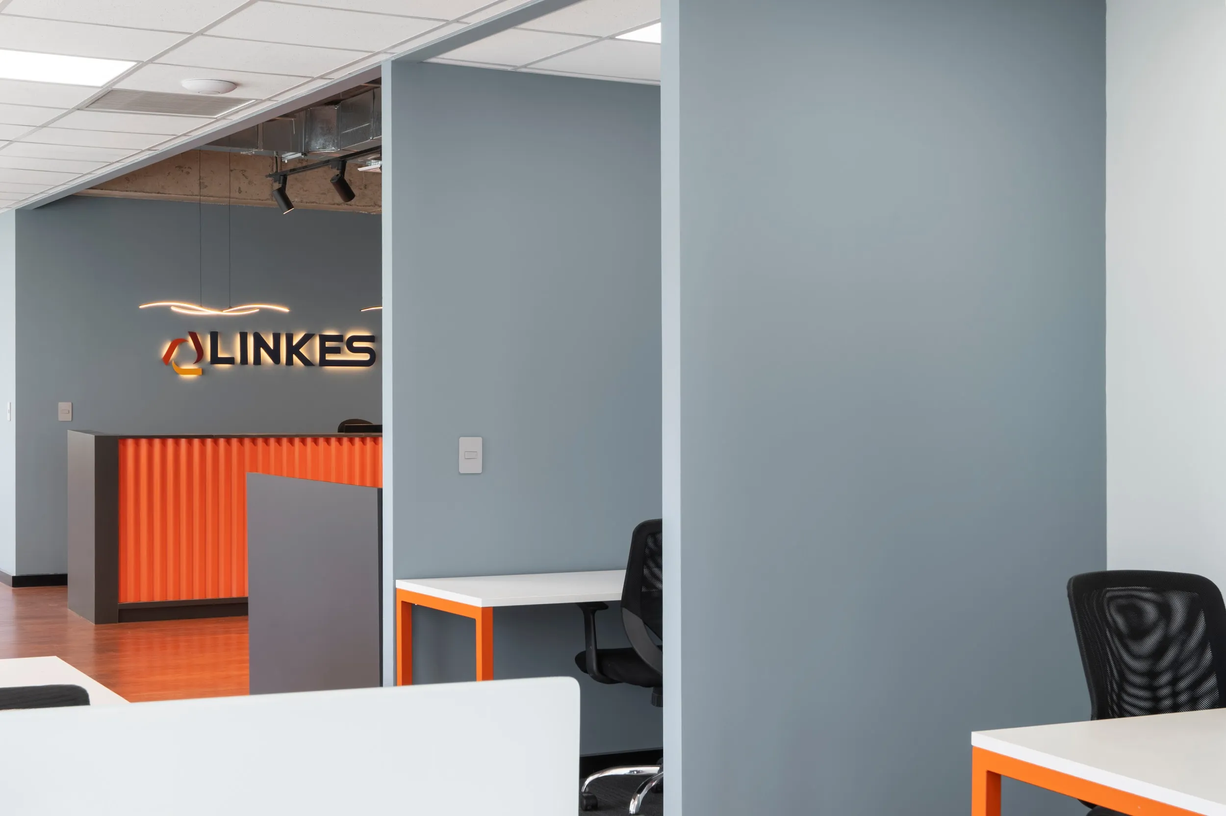 Galería Linkes 6