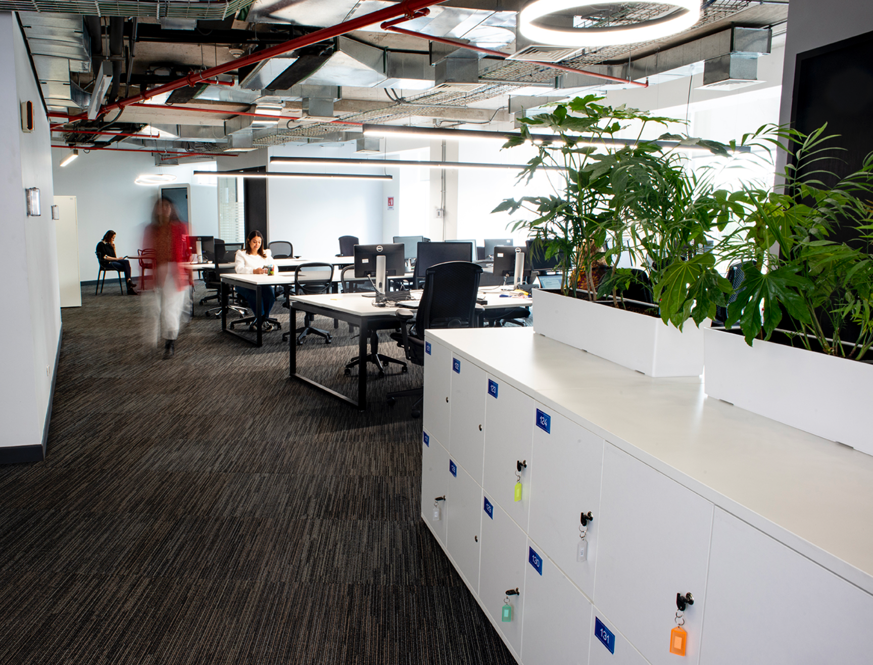 Galería Forvis Mazars 3